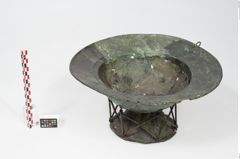 Foto von Bronzebreitrandfußschale (NHMW-PRAE-025437)